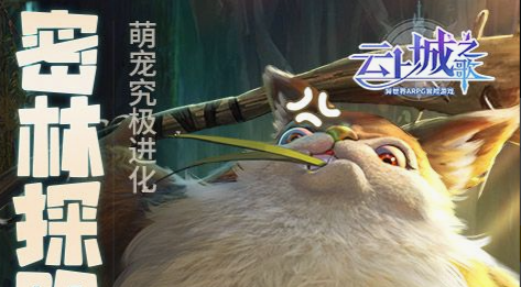 拍卖行价格波动