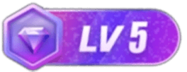 LV5 等级-LV5 - 玩趣屋