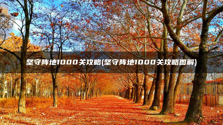 坚守阵地1000关攻略(坚守阵地1000关攻略图解)