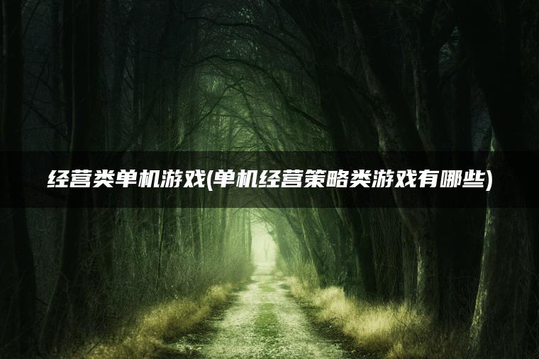 经营类单机游戏(单机经营策略类游戏有哪些)