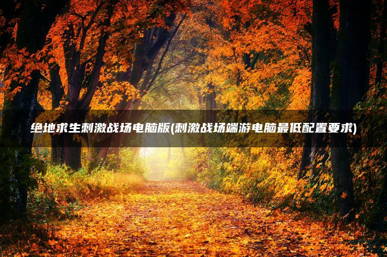 绝地求生刺激战场电脑版(刺激战场端游电脑最低配置要求)