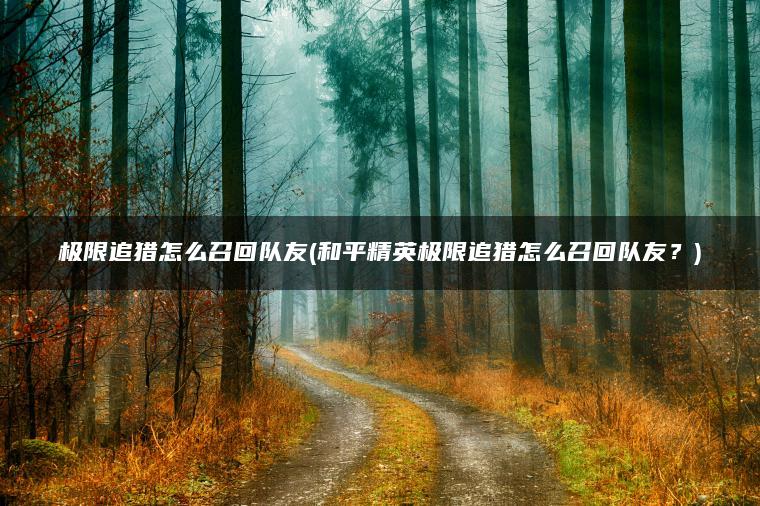 极限追猎怎么召回队友(和平精英极限追猎怎么召回队友？)