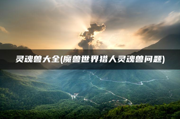灵魂兽大全(魔兽世界猎人灵魂兽问题)