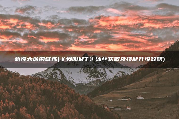 菊爆大队的试炼(《我叫MT》沐丝获取及技能升级攻略)