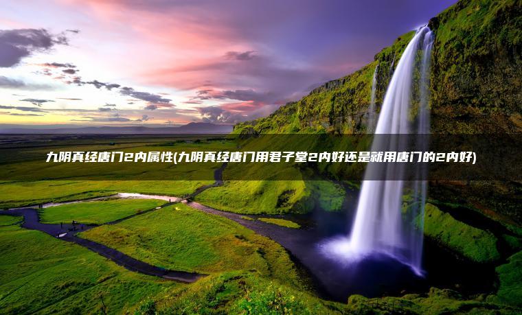 九阴真经唐门2内属性(九阴真经唐门用君子堂2内好还是就用唐门的2内好)