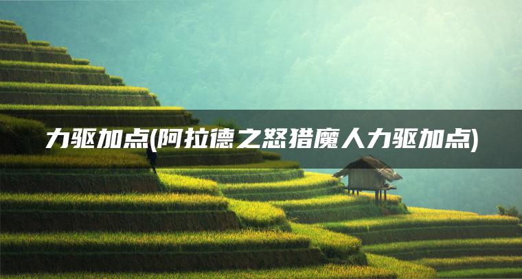 力驱加点(阿拉德之怒猎魔人力驱加点)