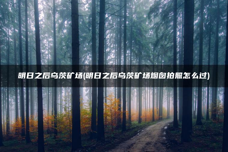 明日之后乌茨矿场(明日之后乌茨矿场烟囱拍照怎么过)