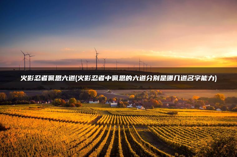 火影忍者佩恩六道(火影忍者中佩恩的六道分别是哪几道名字能力)