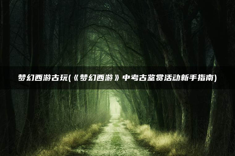 梦幻西游古玩(《梦幻西游》中考古鉴赏活动新手指南)