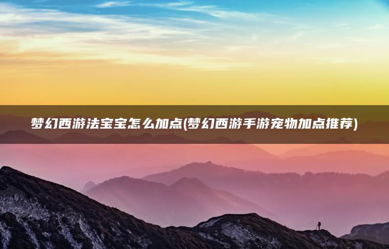 梦幻西游法宝宝怎么加点(梦幻西游手游宠物加点推荐)