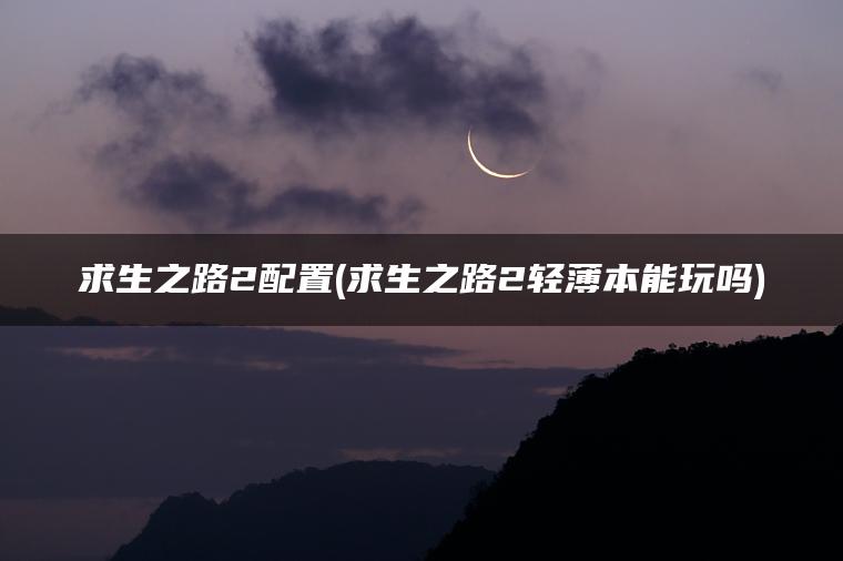求生之路2配置(求生之路2轻薄本能玩吗)