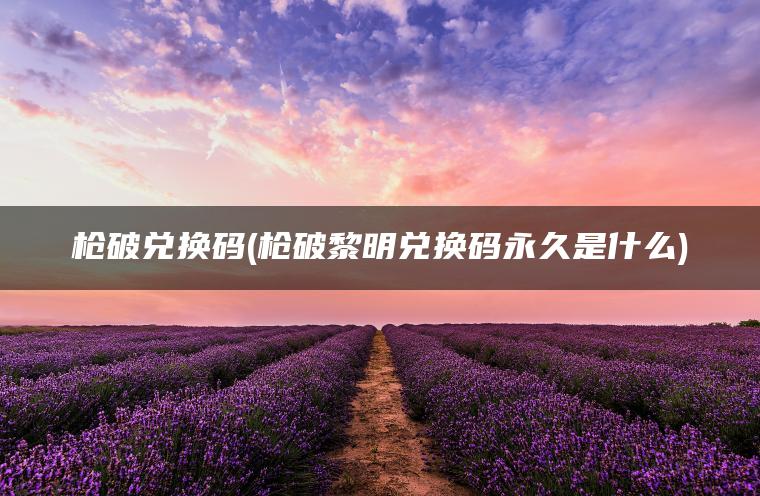 枪破兑换码(枪破黎明兑换码永久是什么)