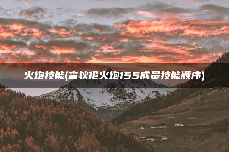 火炮技能(查狄伦火炮155成员技能顺序)