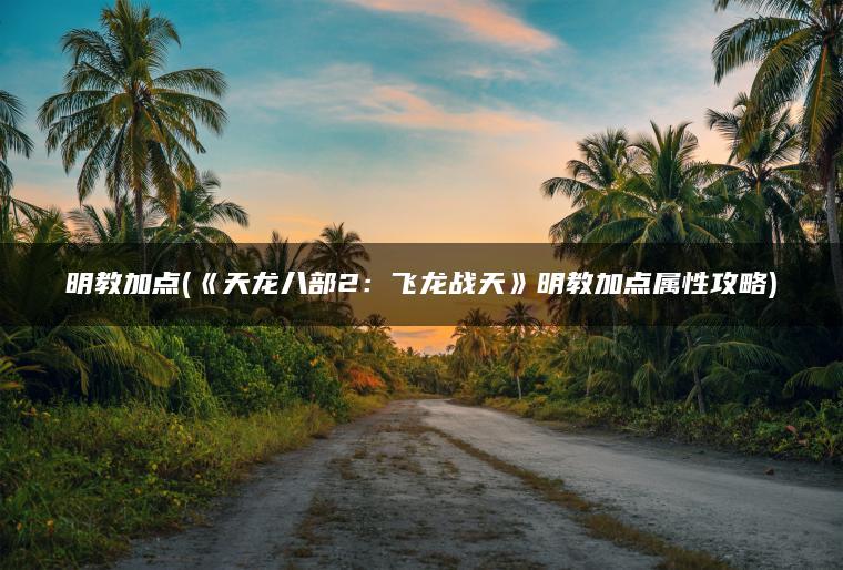 明教加点(《天龙八部2：飞龙战天》明教加点属性攻略)