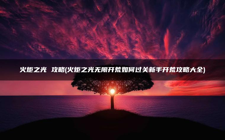 火炬之光 攻略(火炬之光无限开荒如何过关新手开荒攻略大全)