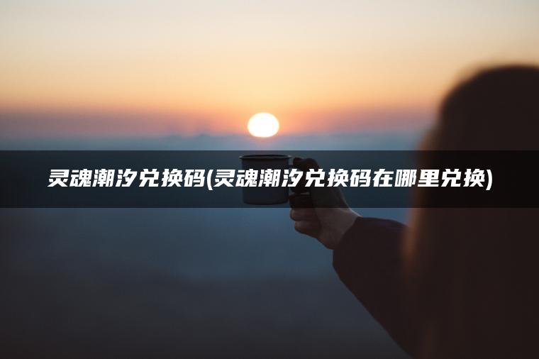 灵魂潮汐兑换码(灵魂潮汐兑换码在哪里兑换)