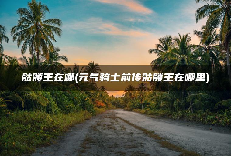 骷髅王在哪(元气骑士前传骷髅王在哪里)
