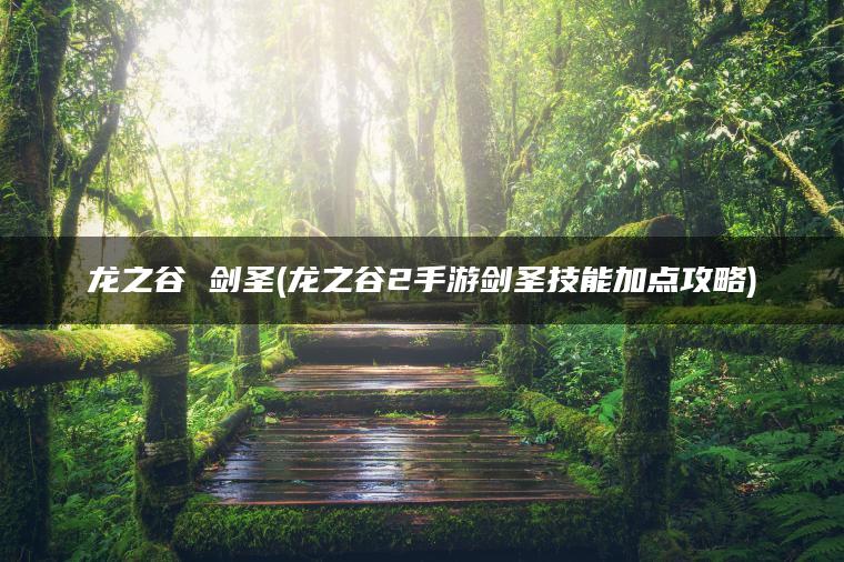 龙之谷 剑圣(龙之谷2手游剑圣技能加点攻略)