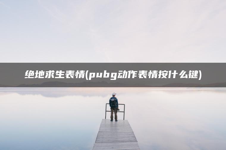 绝地求生表情(pubg动作表情按什么键)