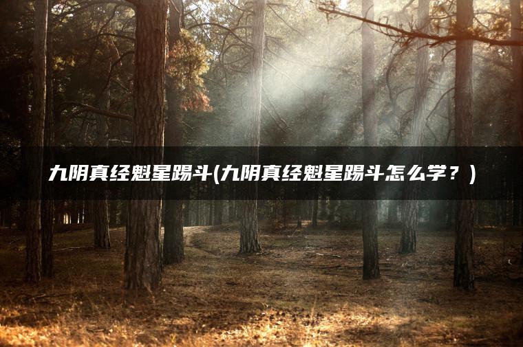 九阴真经魁星踢斗(九阴真经魁星踢斗怎么学？)