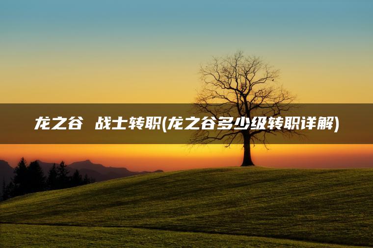龙之谷 战士转职(龙之谷多少级转职详解)