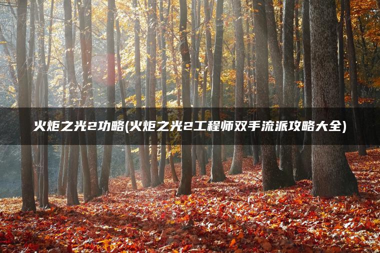 火炬之光2功略(火炬之光2工程师双手流派攻略大全)
