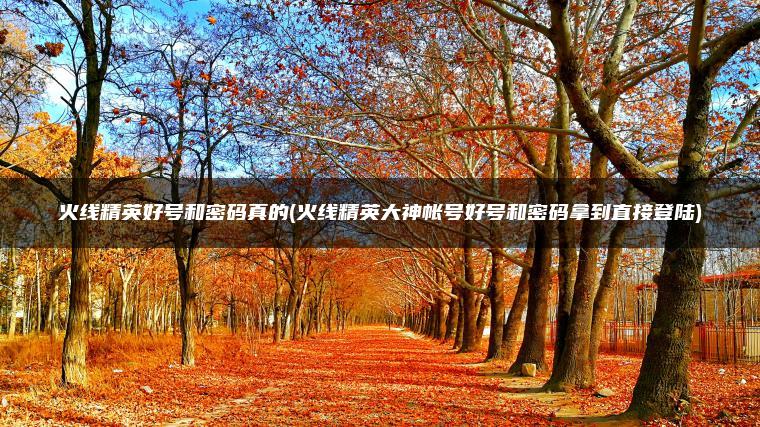 火线精英好号和密码真的(火线精英大神帐号好号和密码拿到直接登陆)