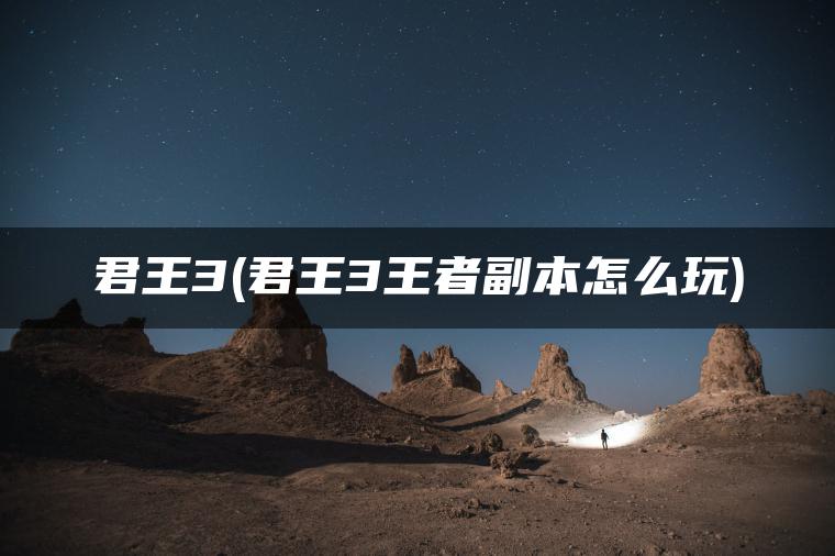 君王3(君王3王者副本怎么玩)
