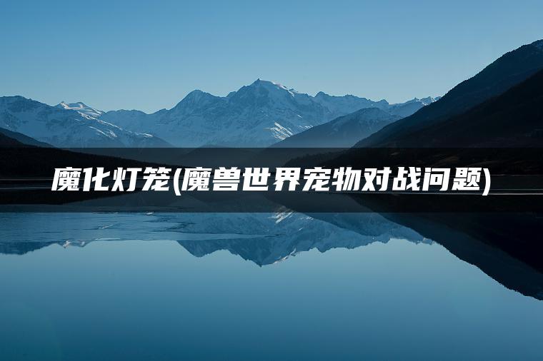 魔化灯笼(魔兽世界宠物对战问题)