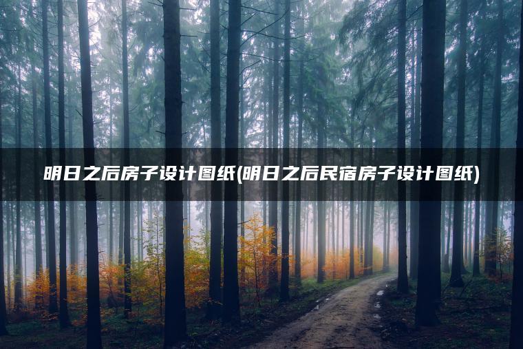 明日之后房子设计图纸(明日之后民宿房子设计图纸)