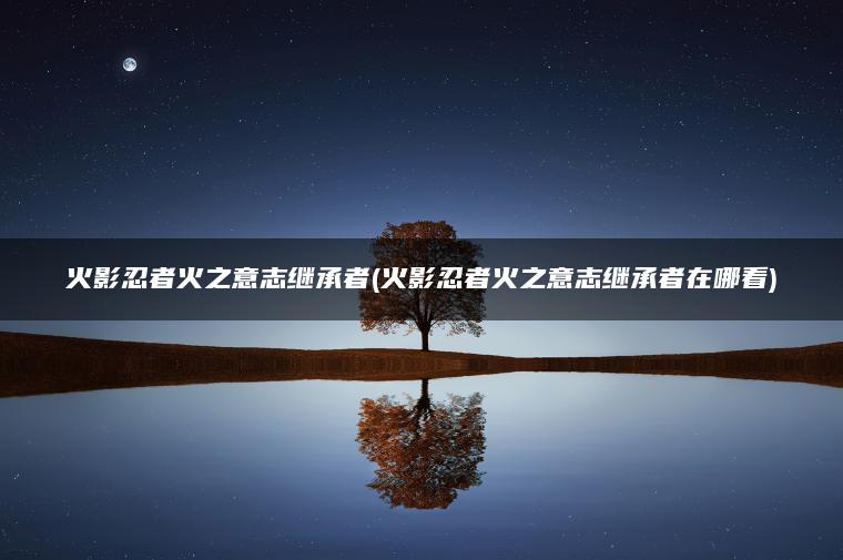 火影忍者火之意志继承者(火影忍者火之意志继承者在哪看)