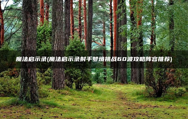 魔法启示录(魔法启示录射手梦境挑战60波攻略阵容推荐)