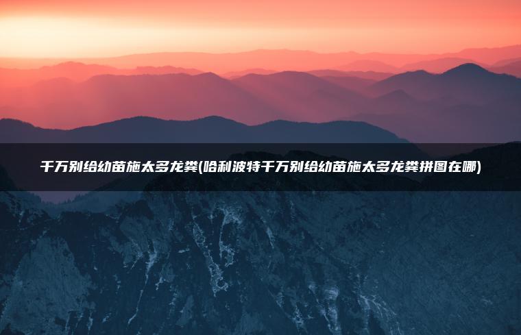 千万别给幼苗施太多龙粪(哈利波特千万别给幼苗施太多龙粪拼图在哪)