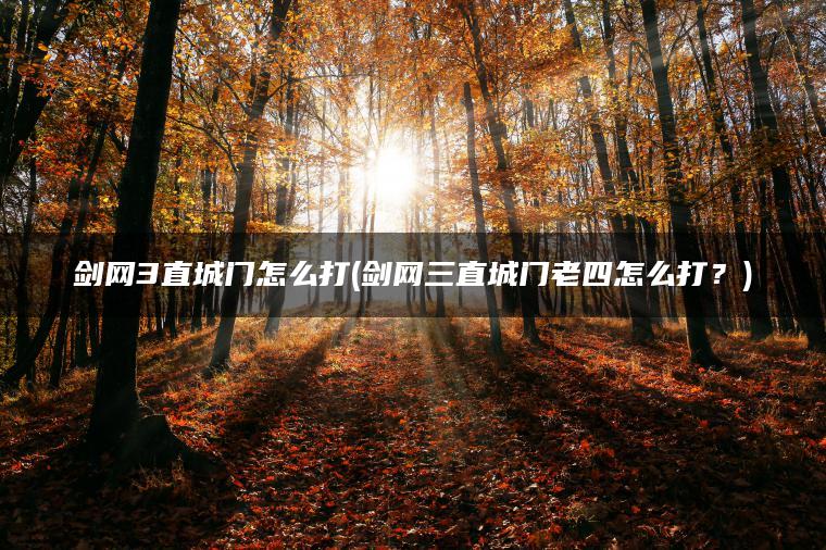 剑网3直城门怎么打(剑网三直城门老四怎么打？)