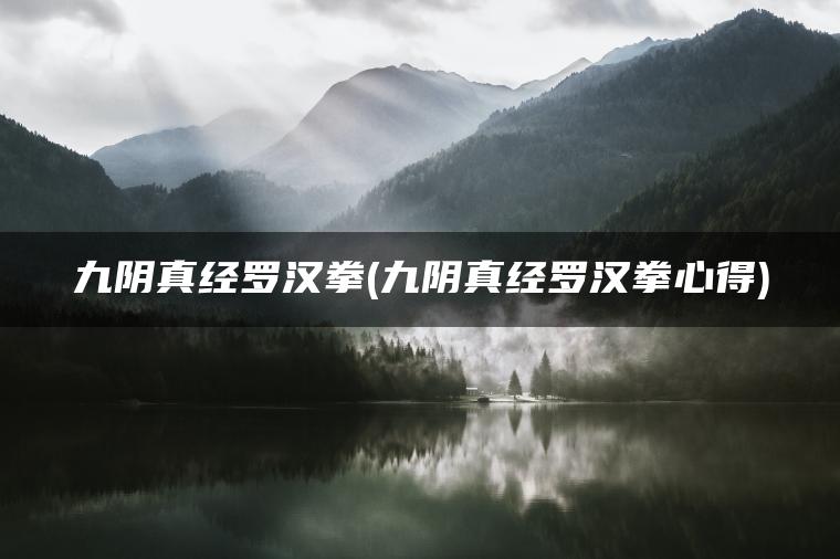 九阴真经罗汉拳(九阴真经罗汉拳心得)