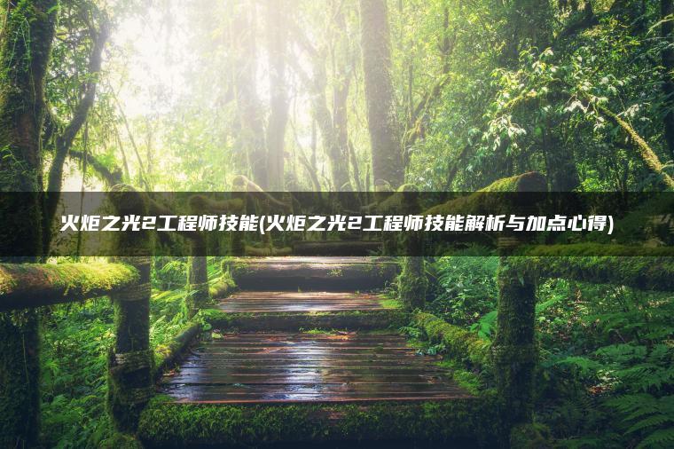 火炬之光2工程师技能(火炬之光2工程师技能解析与加点心得)