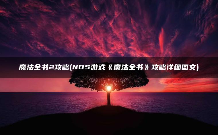 魔法全书2攻略(NDS游戏《魔法全书》攻略详细图文)