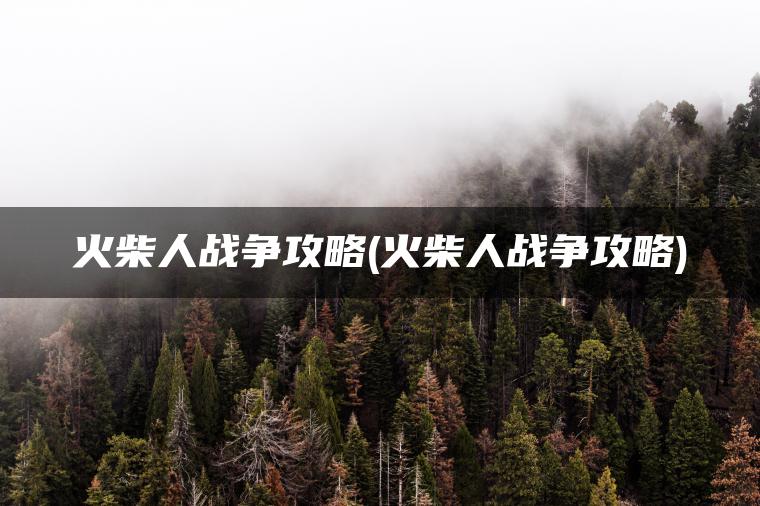火柴人战争攻略(火柴人战争攻略)