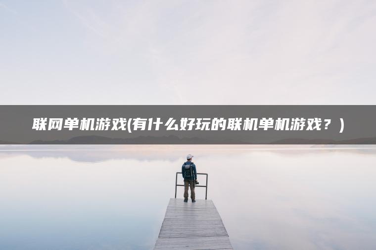 联网单机游戏(有什么好玩的联机单机游戏？)