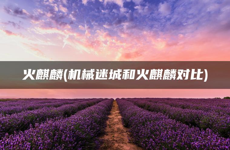 火麒麟(机械迷城和火麒麟对比)