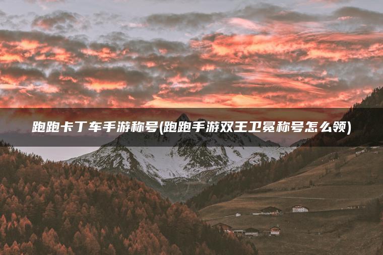 跑跑卡丁车手游称号(跑跑手游双王卫冕称号怎么领)