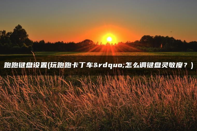 跑跑键盘设置(玩跑跑卡丁车”怎么调键盘灵敏度？)