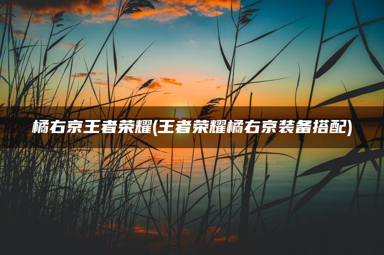 橘右京王者荣耀(王者荣耀橘右京装备搭配)