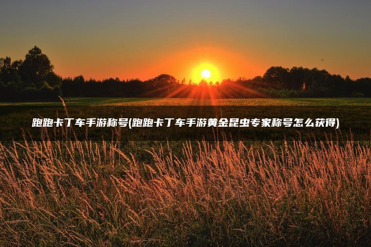 跑跑卡丁车手游称号(跑跑卡丁车手游黄金昆虫专家称号怎么获得)