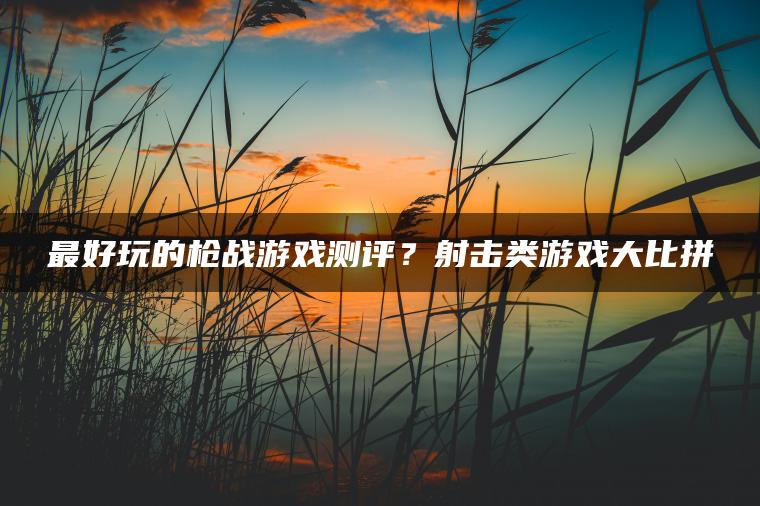 最好玩的枪战游戏测评？射击类游戏大比拼