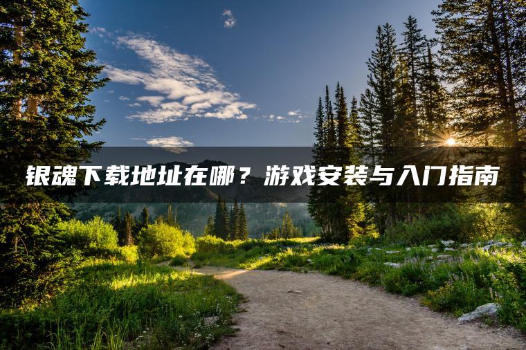 银魂下载地址在哪？游戏安装与入门指南