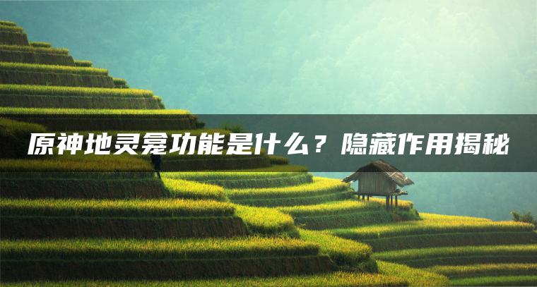原神地灵龛功能是什么？隐藏作用揭秘