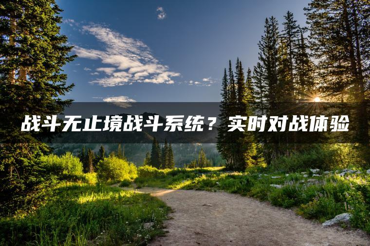 战斗无止境战斗系统？实时对战体验