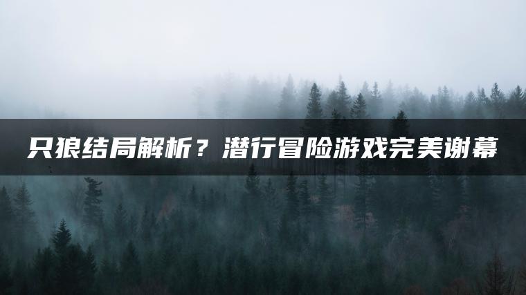 只狼结局解析？潜行冒险游戏完美谢幕
