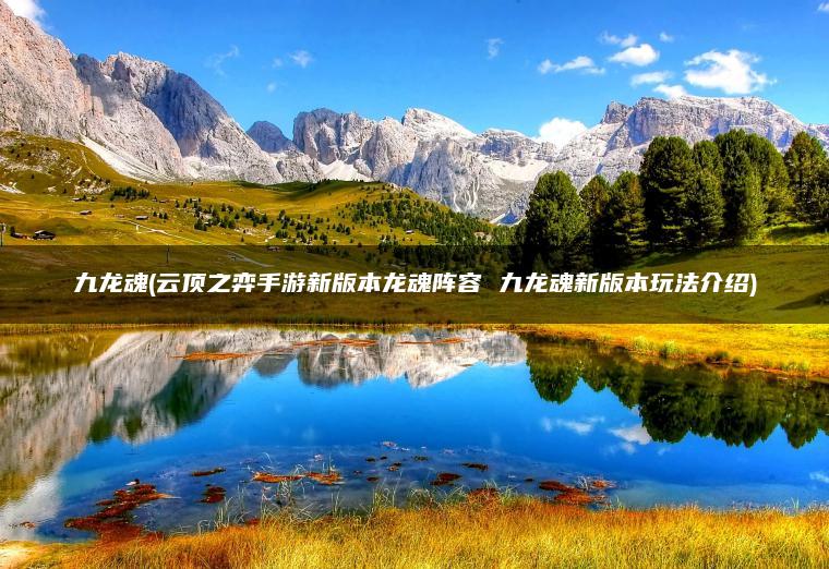 九龙魂(云顶之弈手游新版本龙魂阵容 九龙魂新版本玩法介绍)